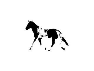 Horse Vector Icons and Graphics for Free EPS.Horse vector image.eps