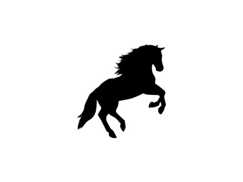 Horse Vector Art.Icons and Graphics for Free EPS.Horse vector image.eps