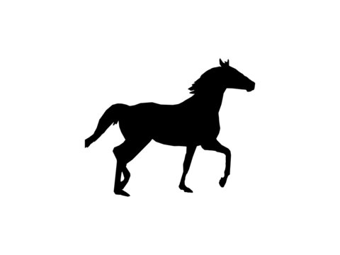 Horse vector image. Horse Vector Icons and Graphics for Free EPS..eps