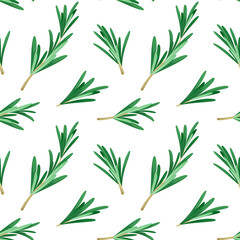 Seamless pattern with rosemary sprigs. Herbs.
