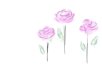 Watercolor abstract purple roses Isolated on white background illustration