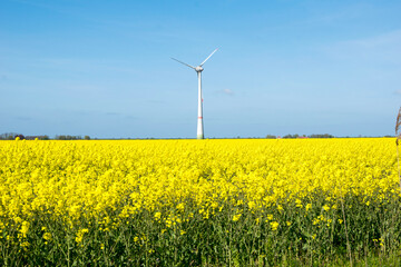 field with turbines