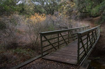 A bridge crosses over a river in Newton Canyon, Malibu, California