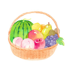 フルーツギフト　水彩イラスト