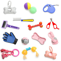 Set of different pet accessories on white background