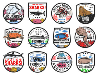 Obraz premium Tropical sea fishes and ocean animals icons. Oceanarium aquarium, fishing club and sharks danger warning, travel tours, nature museum emblem or badge. Turtle, moray eel and lionfish, walrus vector
