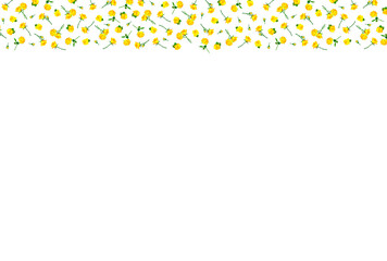 黄色いバラが上側に散らばる背景素材
