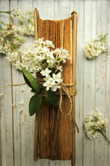 Spring romantic composition with white lilac flowers and old book on wight wooden background
