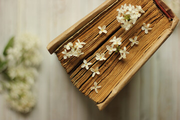 Spring romantic composition with white lilac flowers and old book on wight wooden background