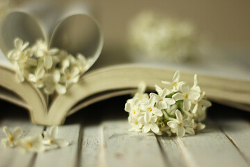 Fototapeta na wymiar A book with a heart of pages and a branch of white lilac on it.