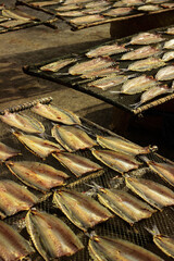 dried fish on a market