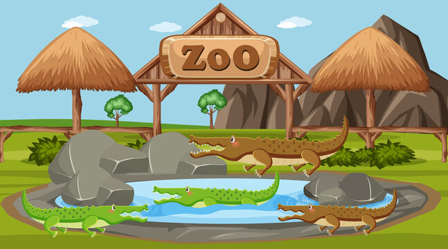 Animals at the zoo
