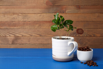 Cup with coffee tree and bowl of beans on color wooden background