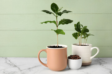 Beautiful coffee trees and bowl of beans on color wooden background