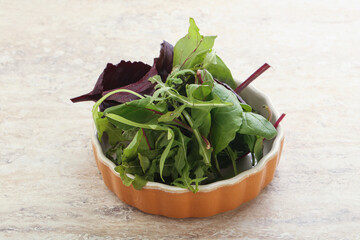 Vegetarian mix green vitamin salad