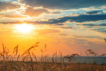 Dawn in a field over the horizon in summer. The sun in the blue autumn sky with clouds. Landscape with golden yellow orange sunset at dusk in the meadows of the Saratov region in Russia