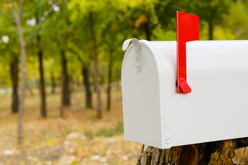 White vintage mailbox in autumn park