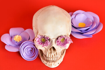 Human skull with handmade paper flowers on red background