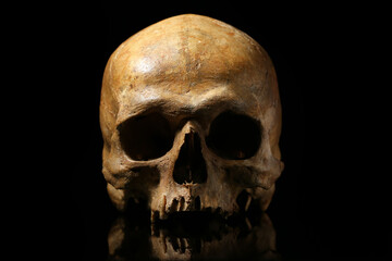 Ancient human skull on black background