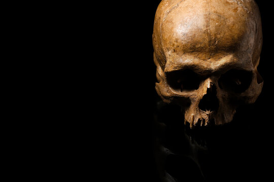 Human skull on black background, closeup
