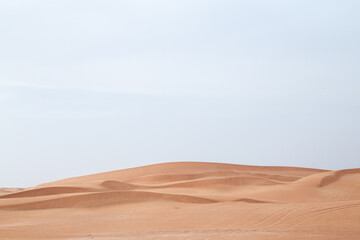 Fototapeta na wymiar desert in daytime with blue skies dunes sand out of focus with grain