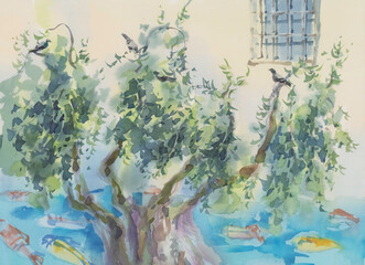 Old olive tree in the yard watercolor sketch