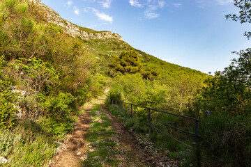 Fototapeta na wymiar Mountain trail among green hills on a warm summer's day, Dalmatia region. Croatia.