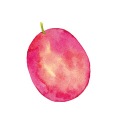 パッションフルーツ　水彩イラスト