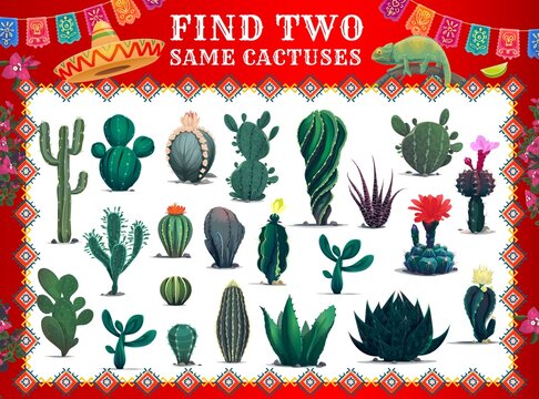 Mexican cactuses, find two same cartoon prickly succulent plants game worksheet. Vector educational riddle for kids leisure activity with cacti of Mexico. Children brainteaser with tropical flora