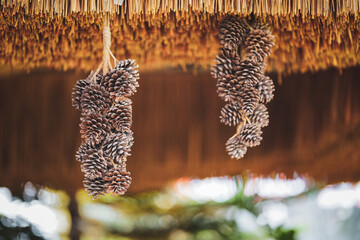 Dried pine cone hanging decorated in a cafe.