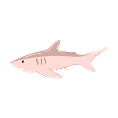 Shark. Cute hand drawn shark character. Children's marine oceanic fish. Vector illustration on a white background.