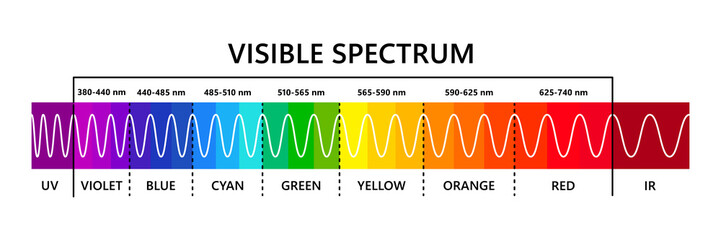 Visible light spectrum, infared and ultraviolet. Optical light wavelength. Electromagnetic visible color spectrum for human eye. Gradient diagram. Educational vector illustration on white background.
