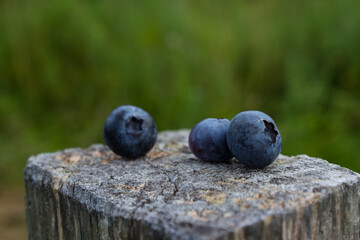 blueberries on the wood