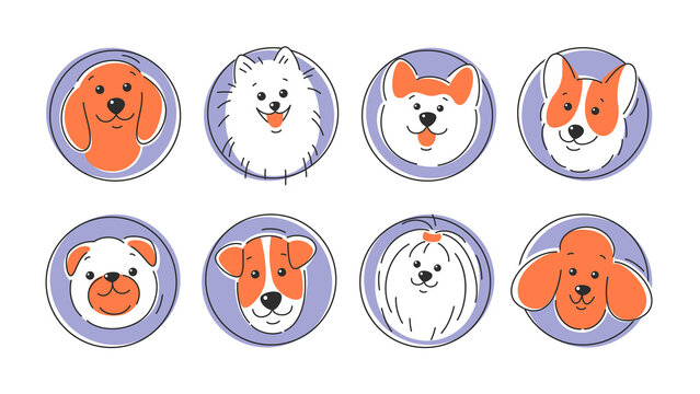 Set of dog faces of different breeds. Corgi, Akita, spitz , Dachshund, Poodle, Terrier, Pug. Vector illustration on white background