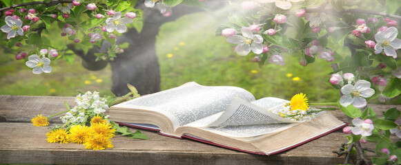 Still life from ancient book and flowers