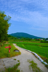 三輪山　山の辺の道　大和古道　奈良県