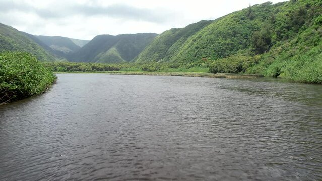 Flying past a person looking at the lagoon at the Pololu Valley and the lush Kohala volcano mountains on the Big Island of Hawaii