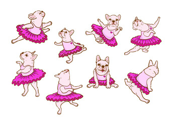 Cute french bulldog dancing ballet in different poses dancing dog isolated vector set