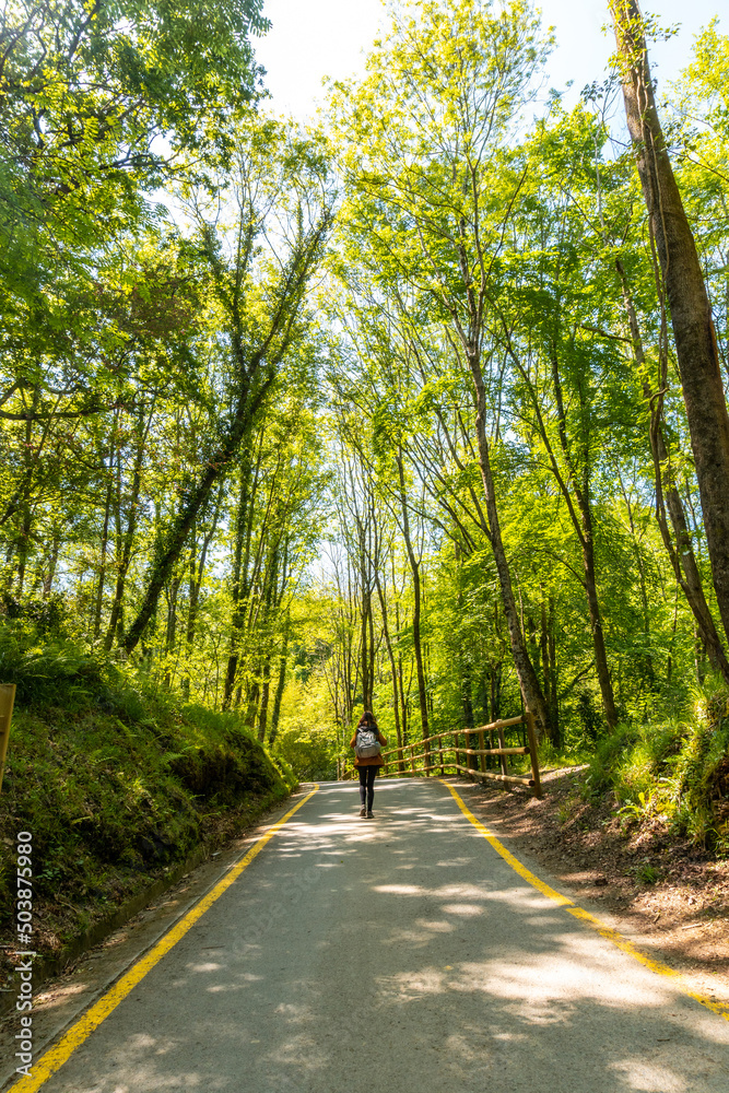 Wall mural a young woman walking through the pagoeta park in aia, gipuzkoa. basque country