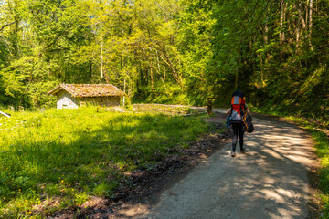 Obraz premium A young woman visiting the Pagoeta park in Aia, Guipuzcoa. Basque Country