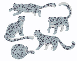 Set of cute snow leopards isolated on white background. Vector graphics.