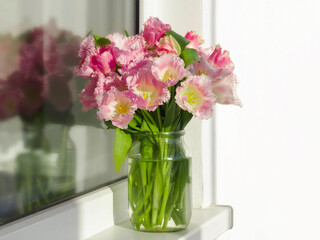 a beautiful bouquet of soft pink terry tulips by the window