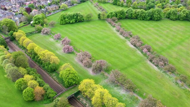 Aerial drone view footage of the beautiful blossom trees in the spring time filmed in the town of Harrogate, North Yorkshire UK showing the trees and freshly cut grass in the British town.