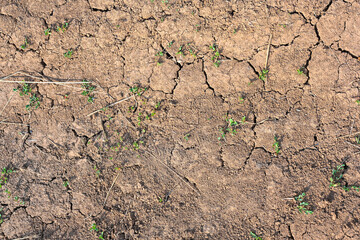 Dry mud cracked ground texture. Drought season background. Dry and cracked land, dry due to lack of rain. Effects of climate change such as desertification and droughts.