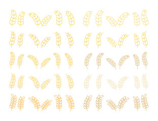 cereals spica isolated vector set