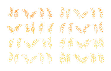 cereals spica isolated vector set