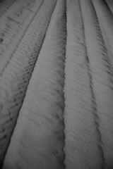 ATV tracks on a sandy beach