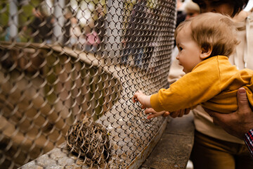 a boy in a zoo watching an animal sitting in a cage
