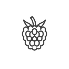 Raspberry fruit line icon