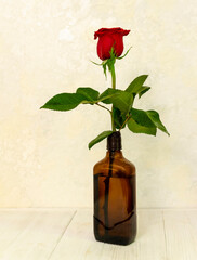 Red rose on a wooden table